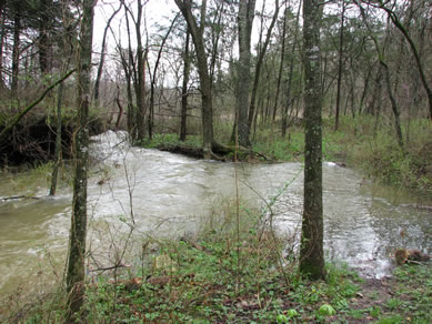 Bear Cave storm flow